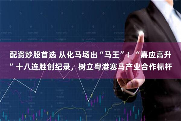 配资炒股首选 从化马场出“马王”！“嘉应高升”十八连胜创纪录，树立粤港赛马产业合作标杆